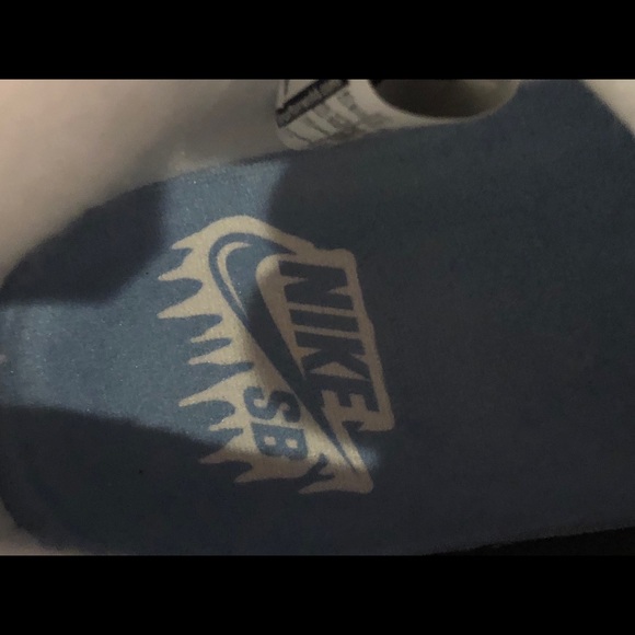 Nike Dunk High SB Premier NWT MINT 9 - Picture 9 of 11